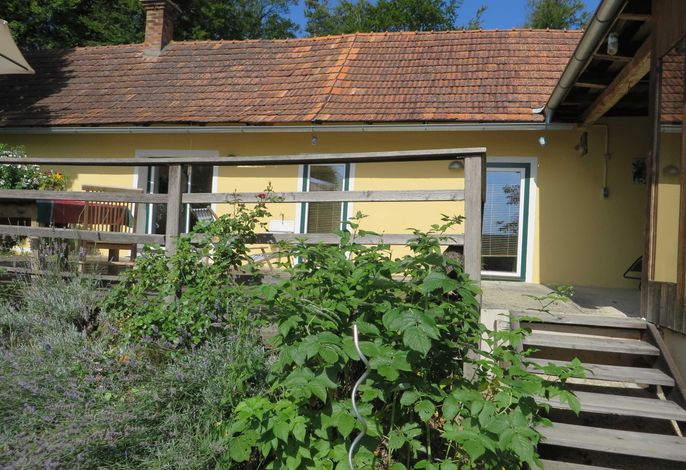 Bild 15