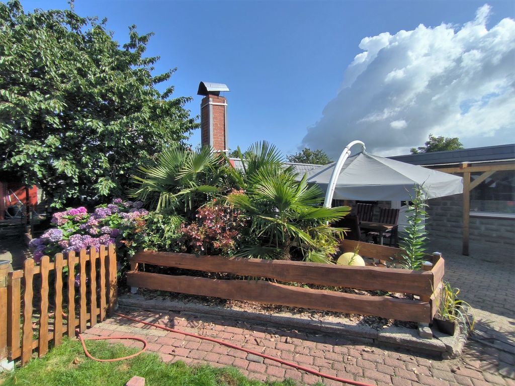 Blick in den kleinen Garten