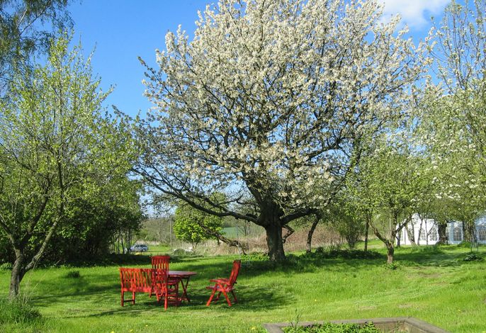 Bild 18
