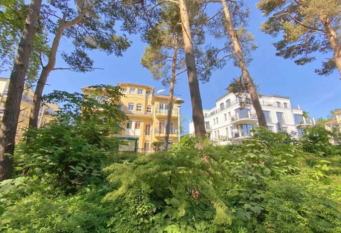 Kurparkresidenz Baabe Whg. 03 Bernsteinchen mit Terrasse
