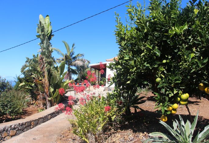 Casa Tio Juan – Foto 3