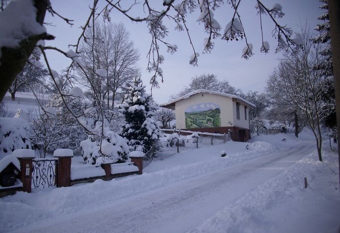 Bild 12