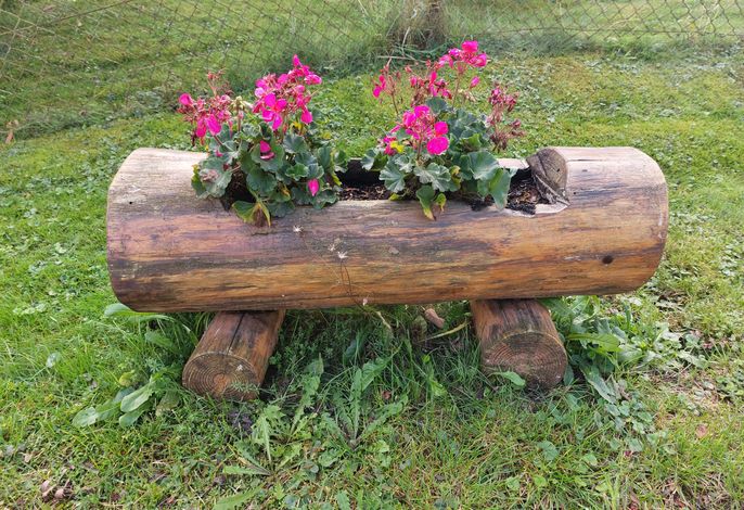 Bild 16