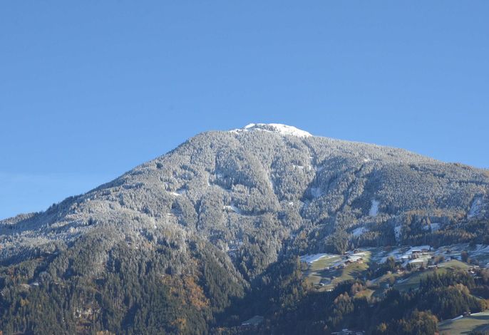 Bild 15