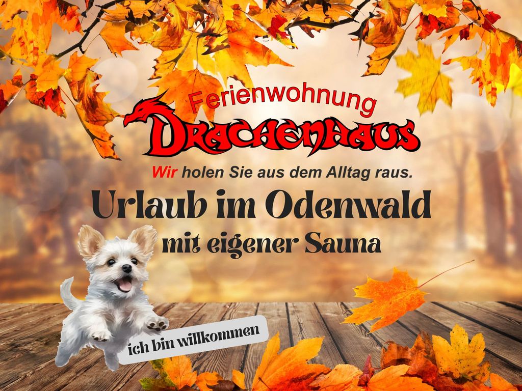 Ferienwohnung Drachenhaus *WIR holen Sie aus dem Alltag raus