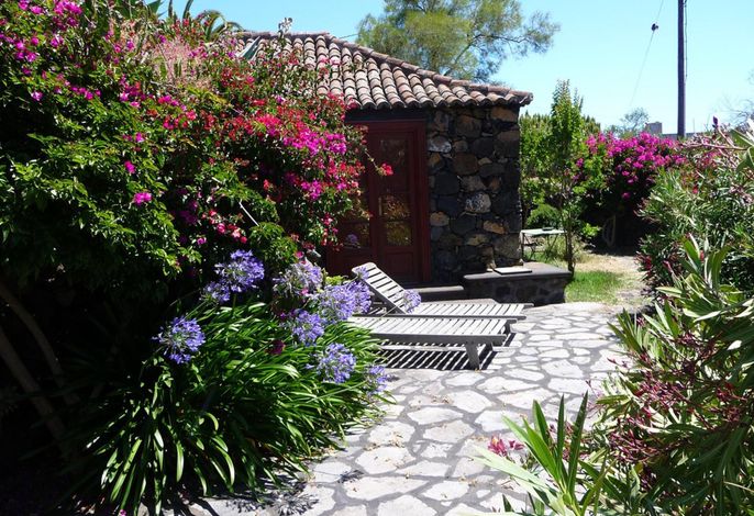 Casa las Tortugas – Foto 2
