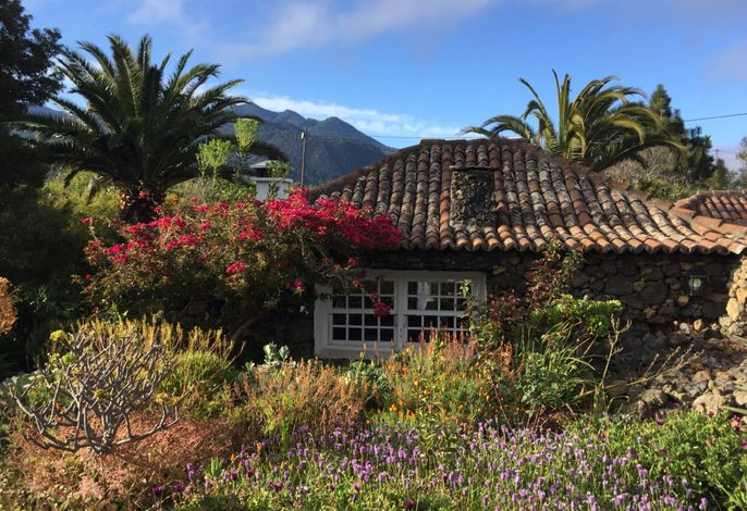 Casa las Tortugas – Foto 3