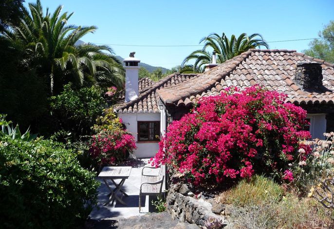 Casa las Tortugas – Foto 4