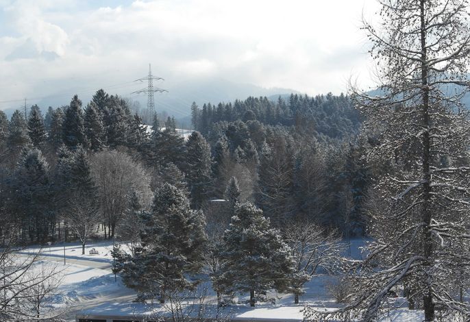 FeWo Ortloff – Foto 3
