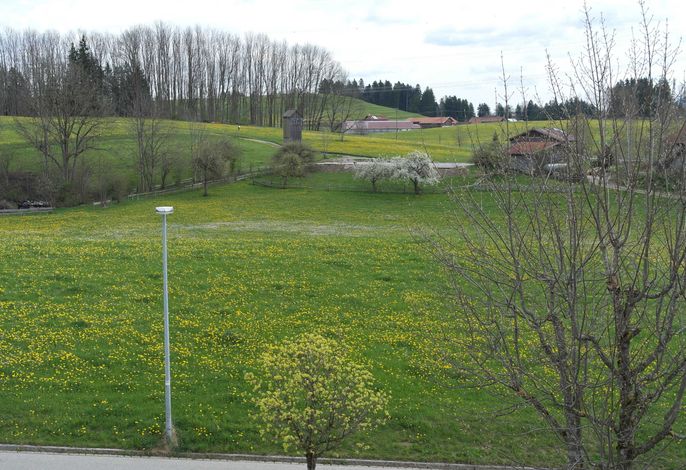 Bild 7