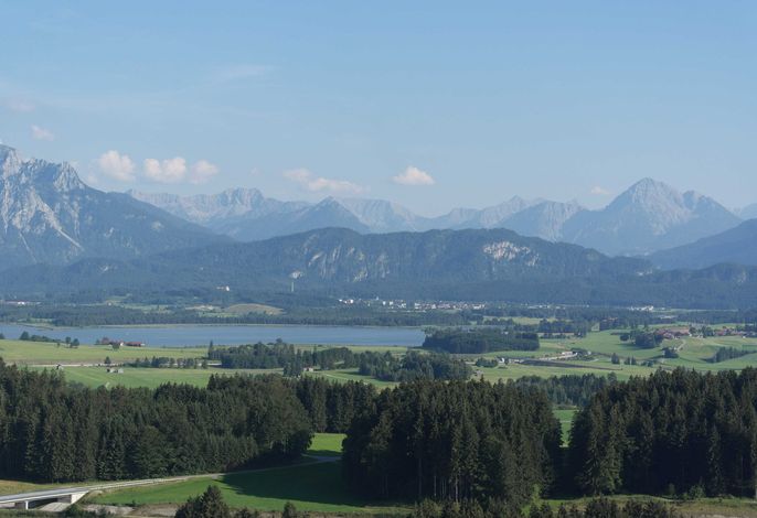 Bild 10
