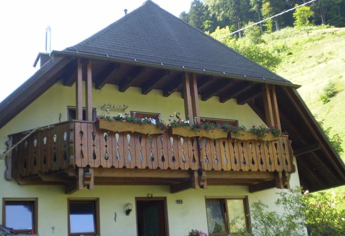 Bild 7