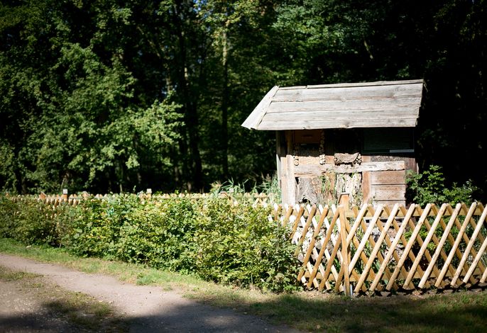 Bild 19