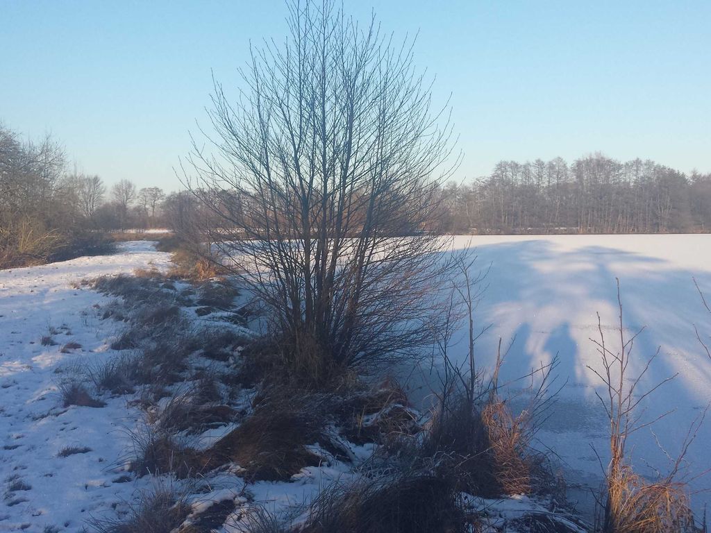 am Brinksee