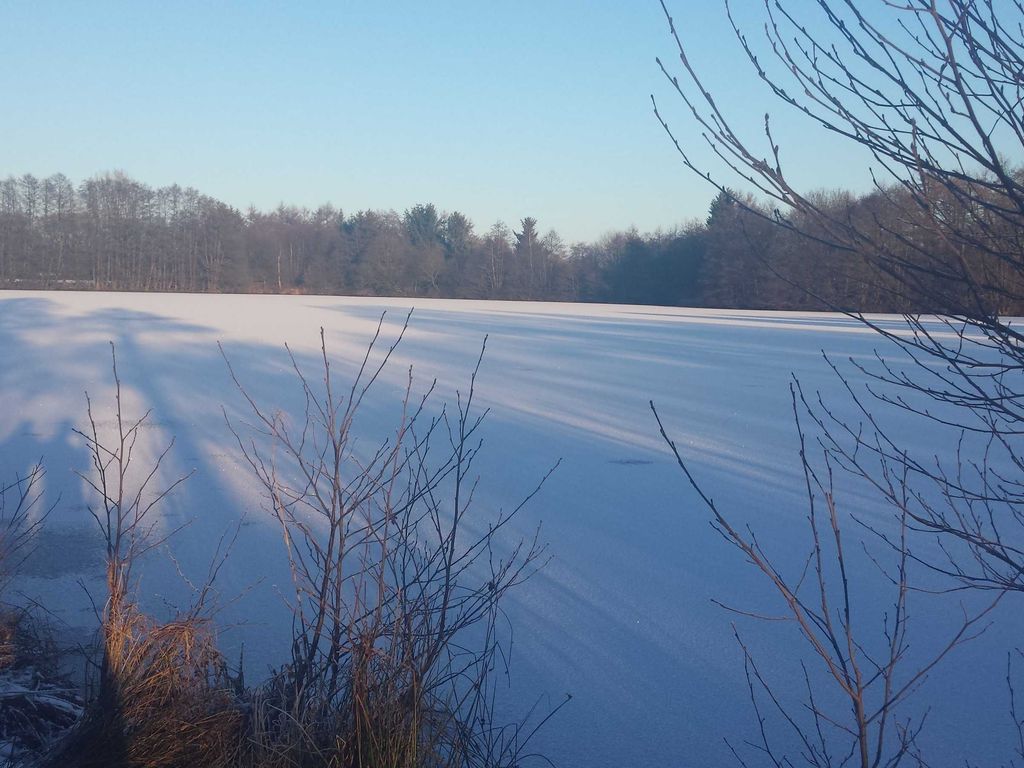 zugefrorener Brinksee (5 Gehminuten)