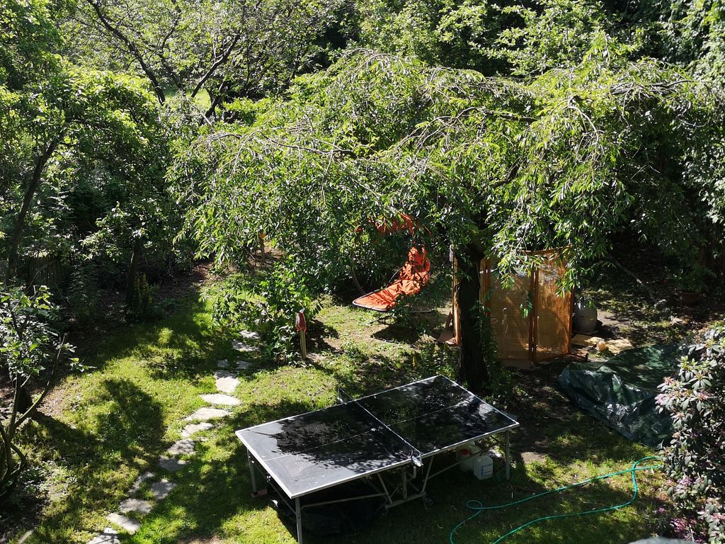 Der Garten mit dem schattenspendenden Dach einer japanischen Zierkirsche lädt im Smmer ein in der Hängematte zum Chillen ein. Er ist bis zur Strasse hin für Sie voll nutzbar