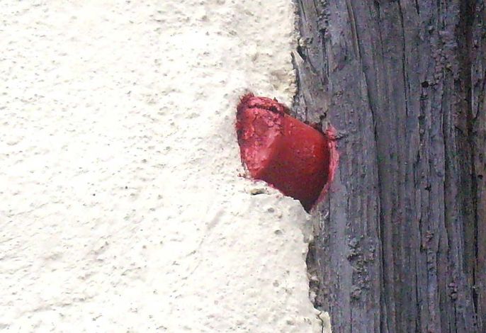 Bild 32