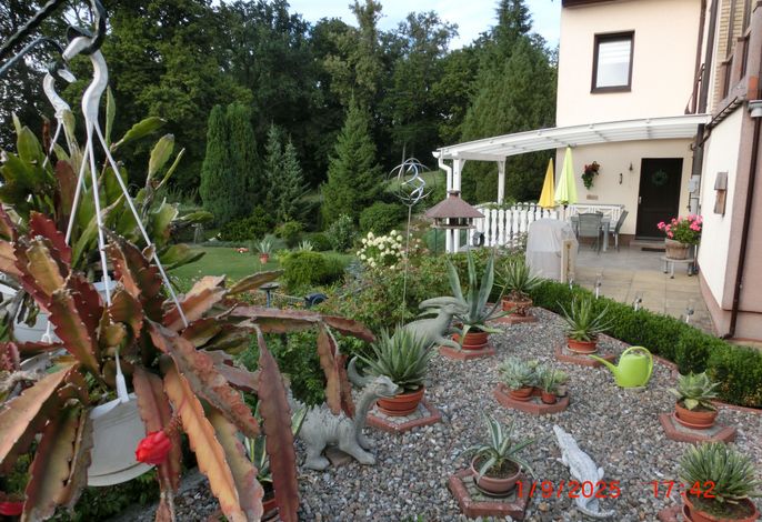 Bild 5