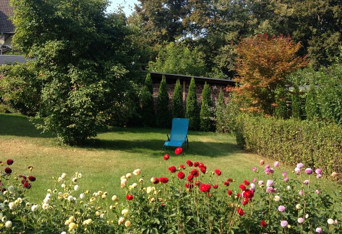 Bild 15