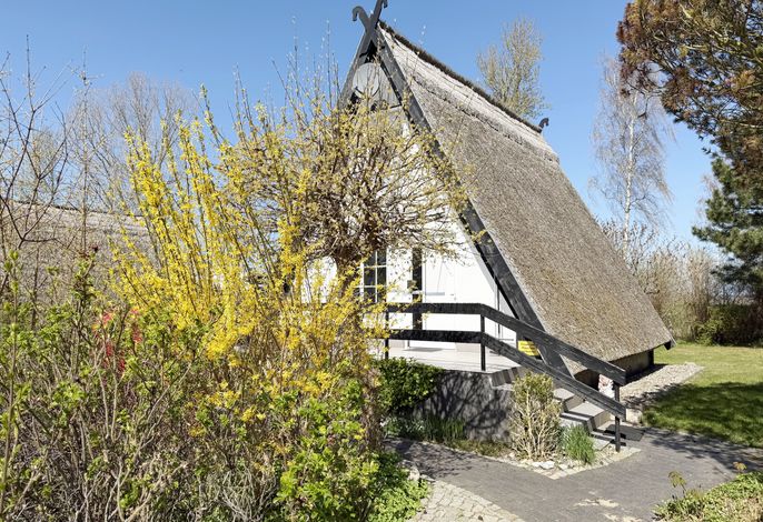 Finnhaus Nr. 05 mit Terrasse