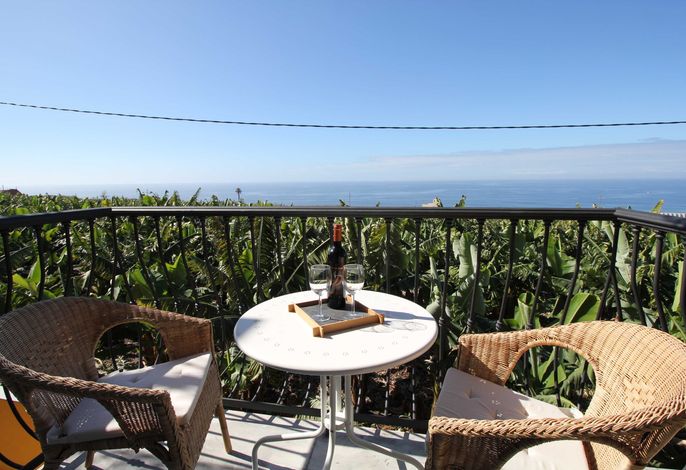 Apartment Trebol