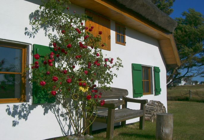 Appartement im Fischerhaus 22 qm