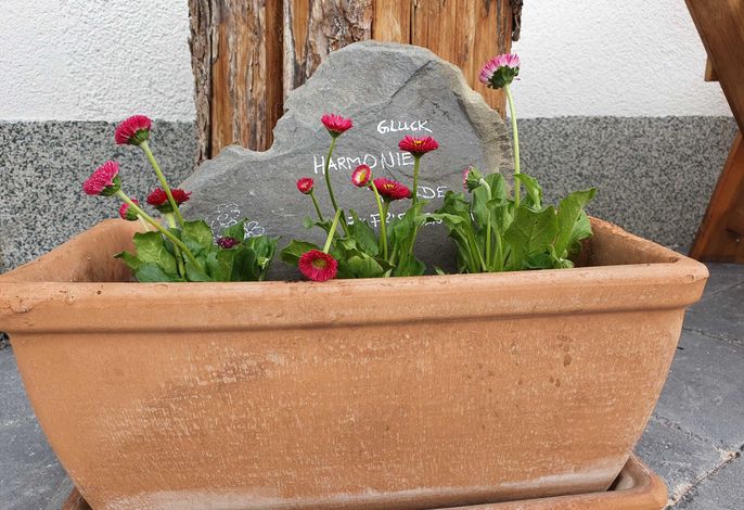 Bild 18