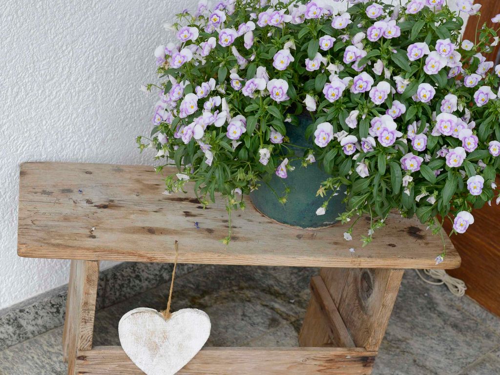 Aussenansicht im Sommer