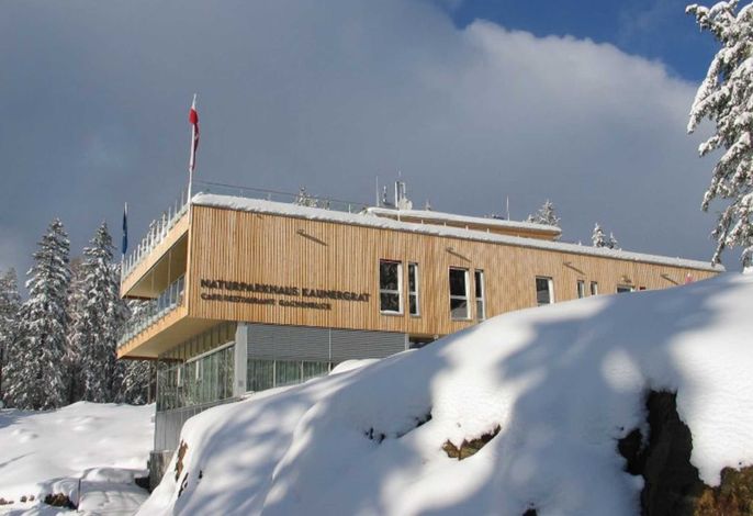 Bild 39