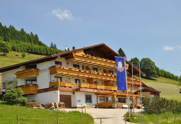 Alpenveilchen 21