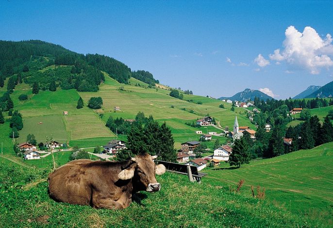 Bild 21