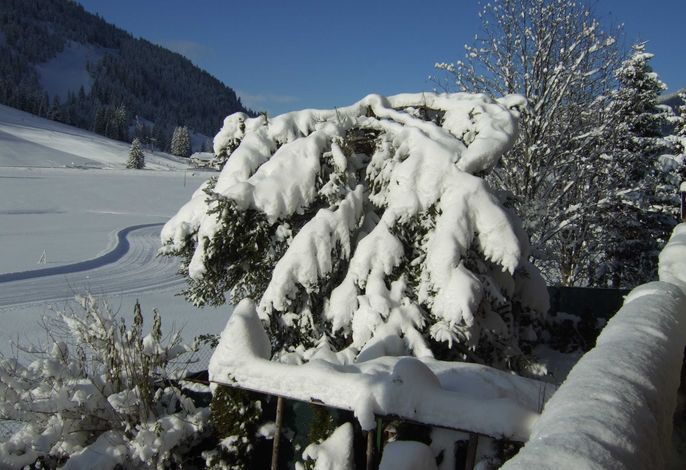 Bild 24