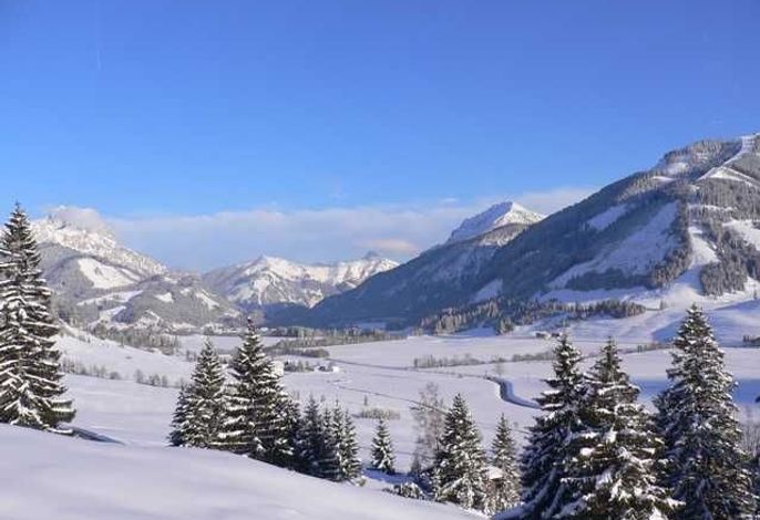 Bild 24
