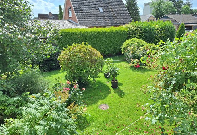 Bild 9