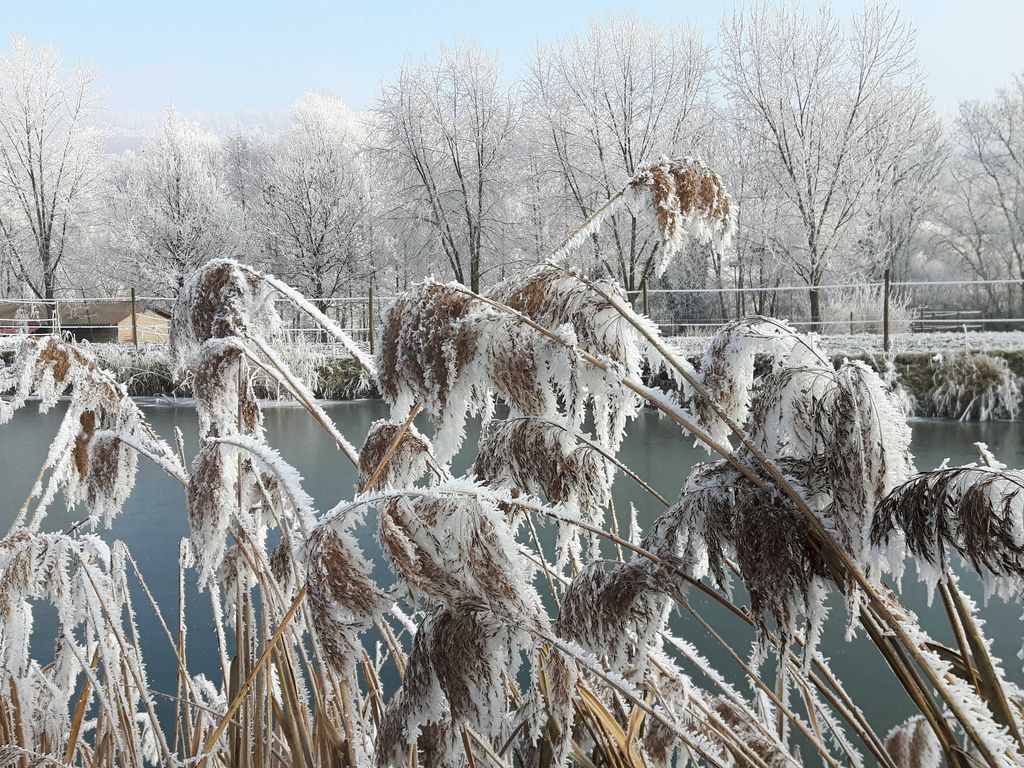 Winterliche Stimmung hinter dem Haus