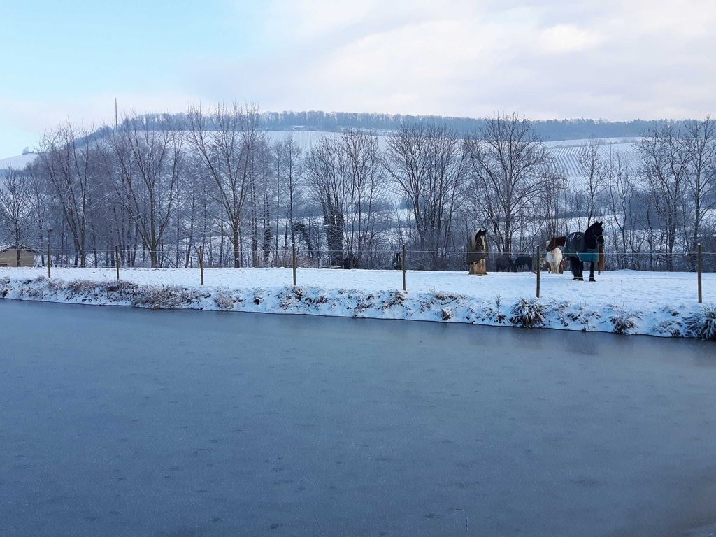 Zugefrorener Mühlsee bei schneebedeckter Landschaft