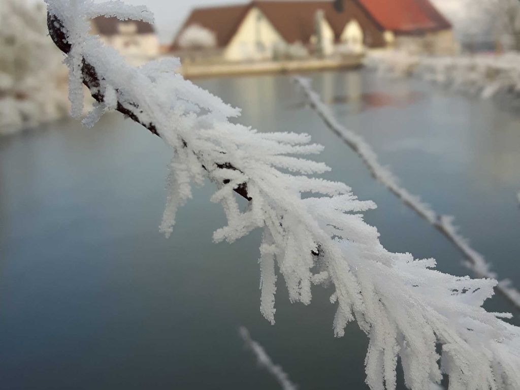 Eiskristalle am Neujahrsmorgen