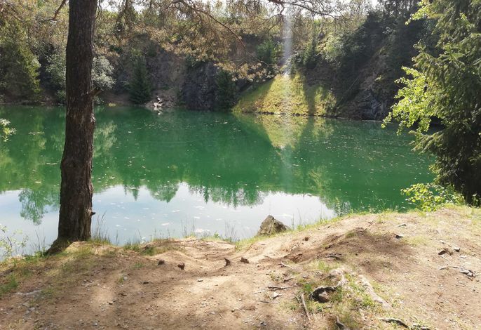 Bild 15