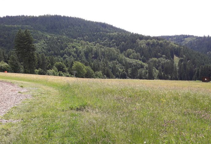 Bild 16