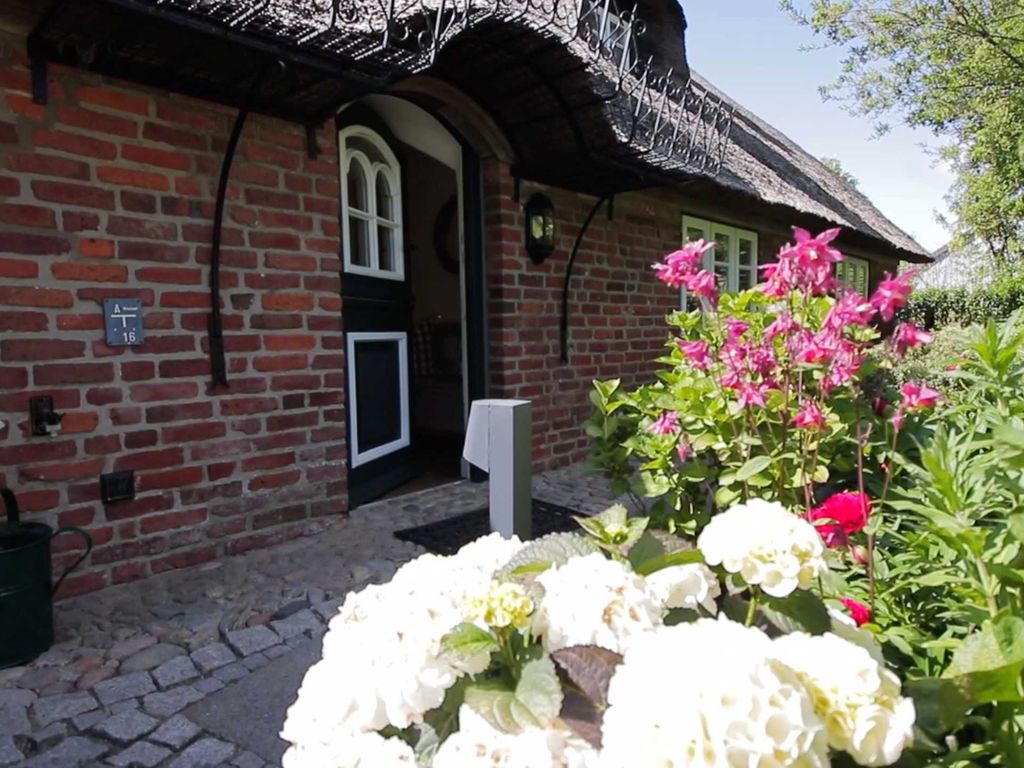 Eingang zum großen Nest