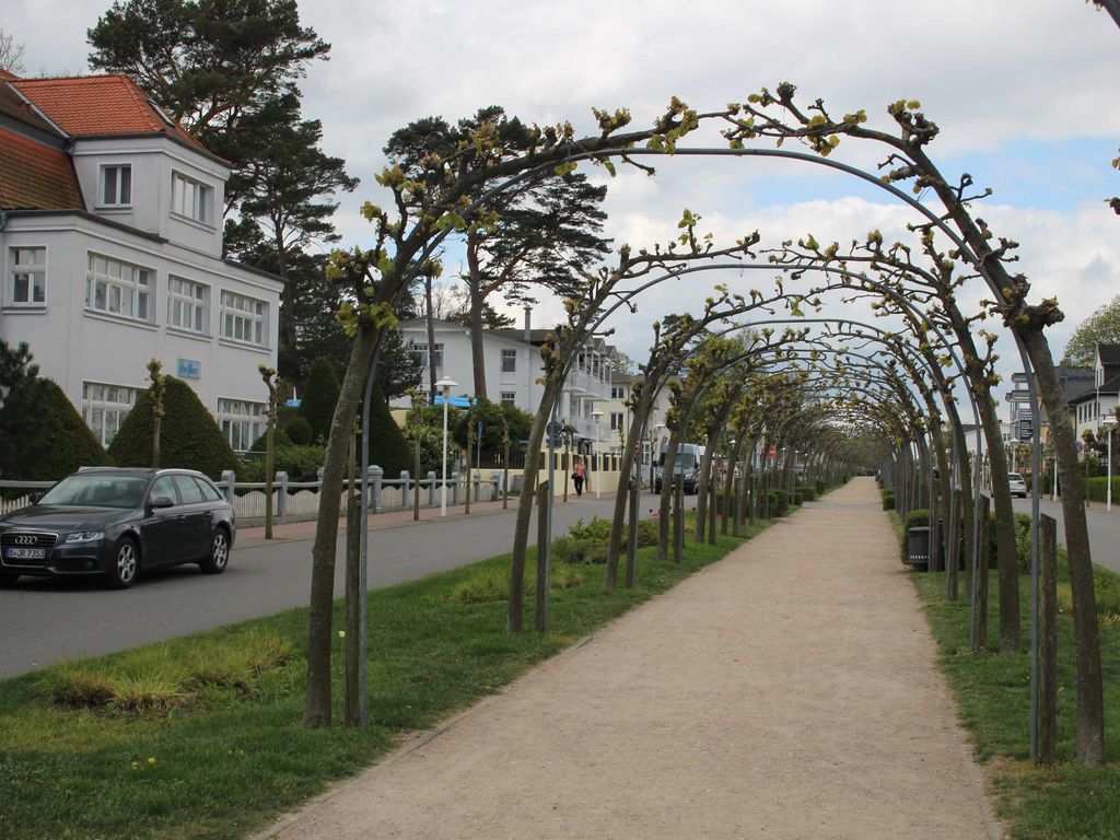 Residenz Strandstraße 31 Baabe – offener Wohn-Essbereich mit Massivholzmöbeln