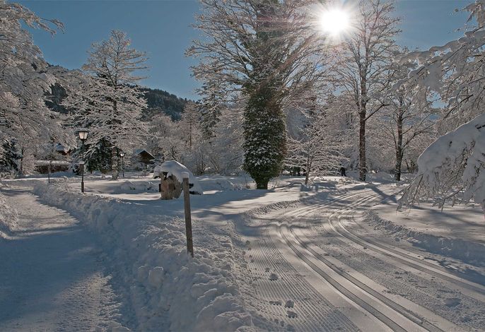 Bild 22