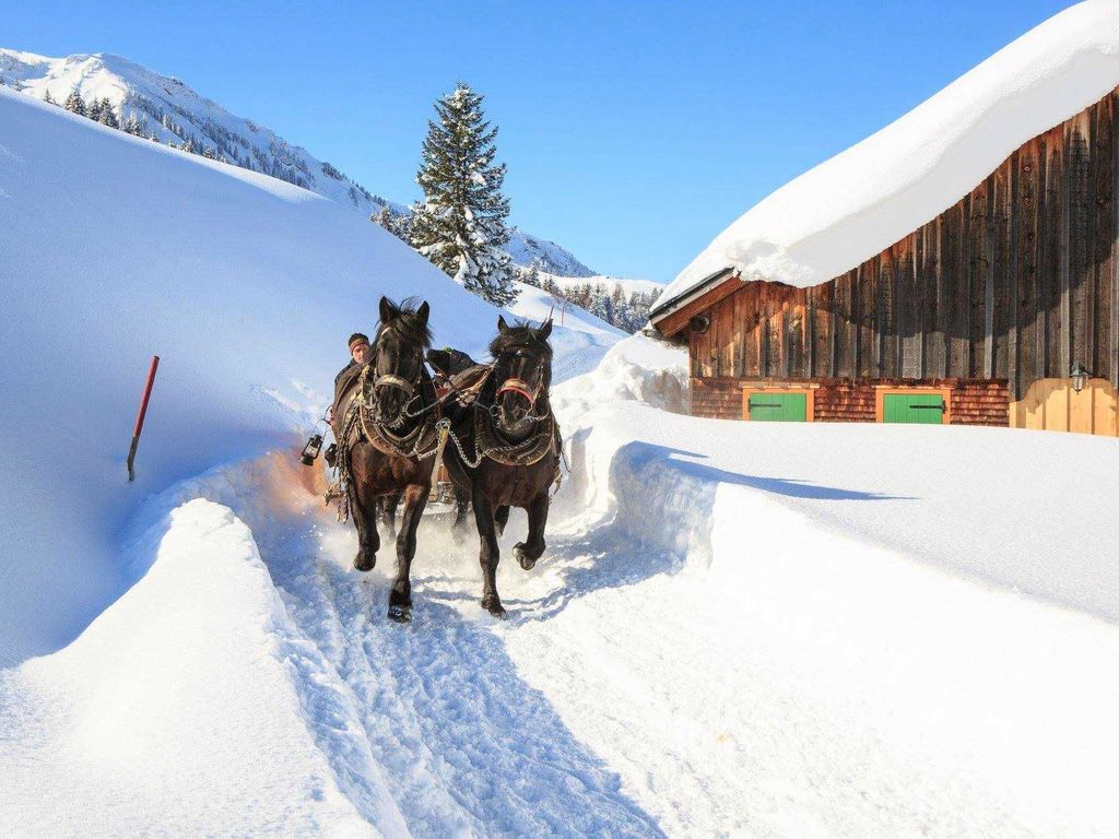 Pferdeschlittenfahrt in Schetteregg