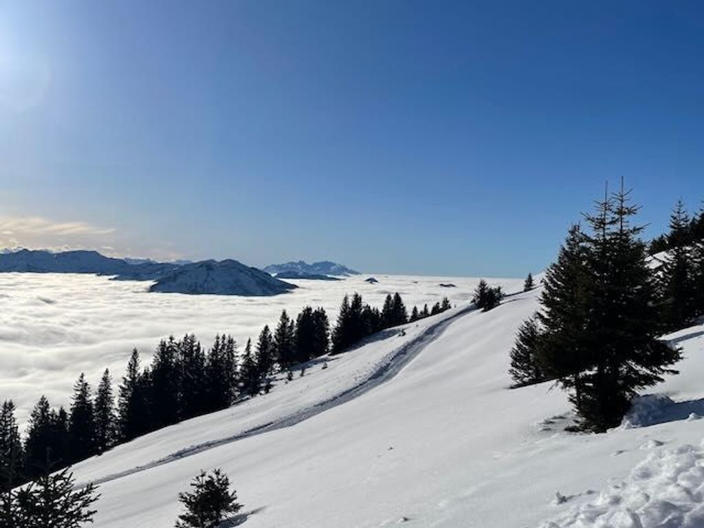 Niedere-Winterwanderweg