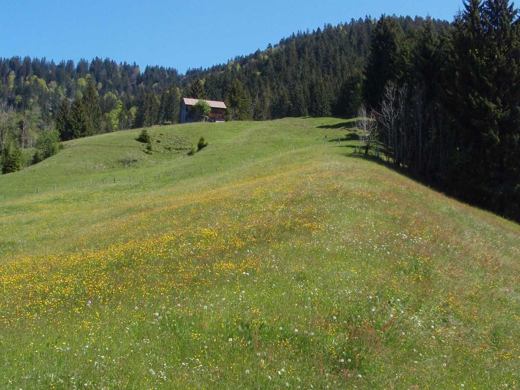 Natur in Sibratsgfäll