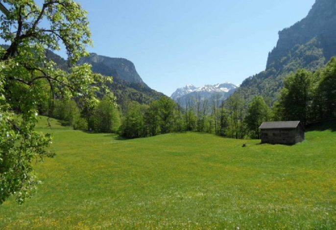 Bild 10