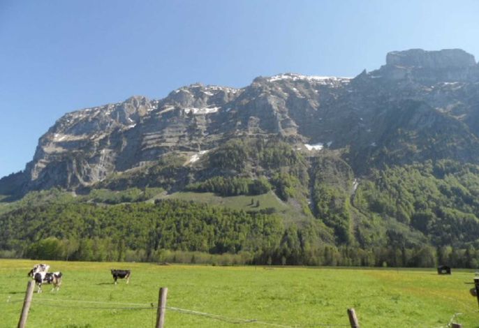 Bild 12