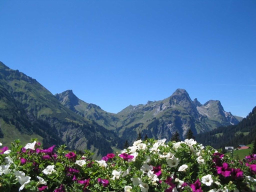 Ausblick in die Bergwelt