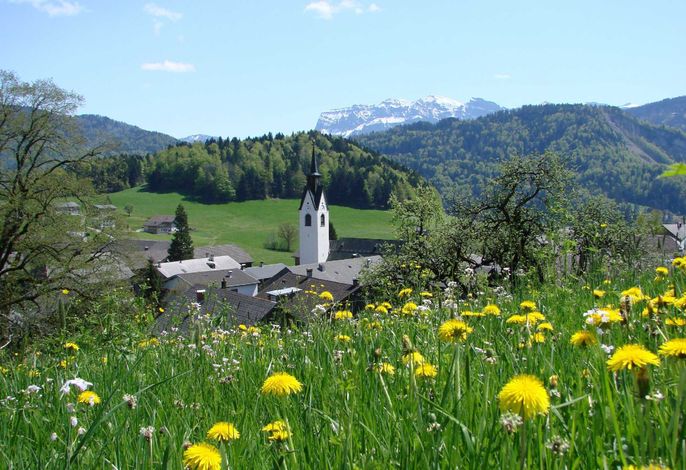 Bild 21