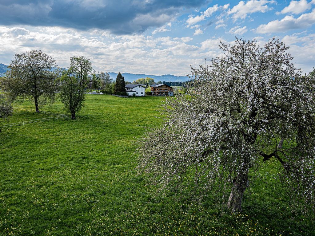Hof 280 - Ferienwohnungen Lingenau